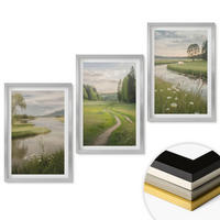 WANDBILDER 3er Set - 40x60 cm Silberner Rahmen - Sommerliche Flusswiesen voller Blumen - Silberfarben, Kunststoff (40/60cm) - ArtPrintCave
