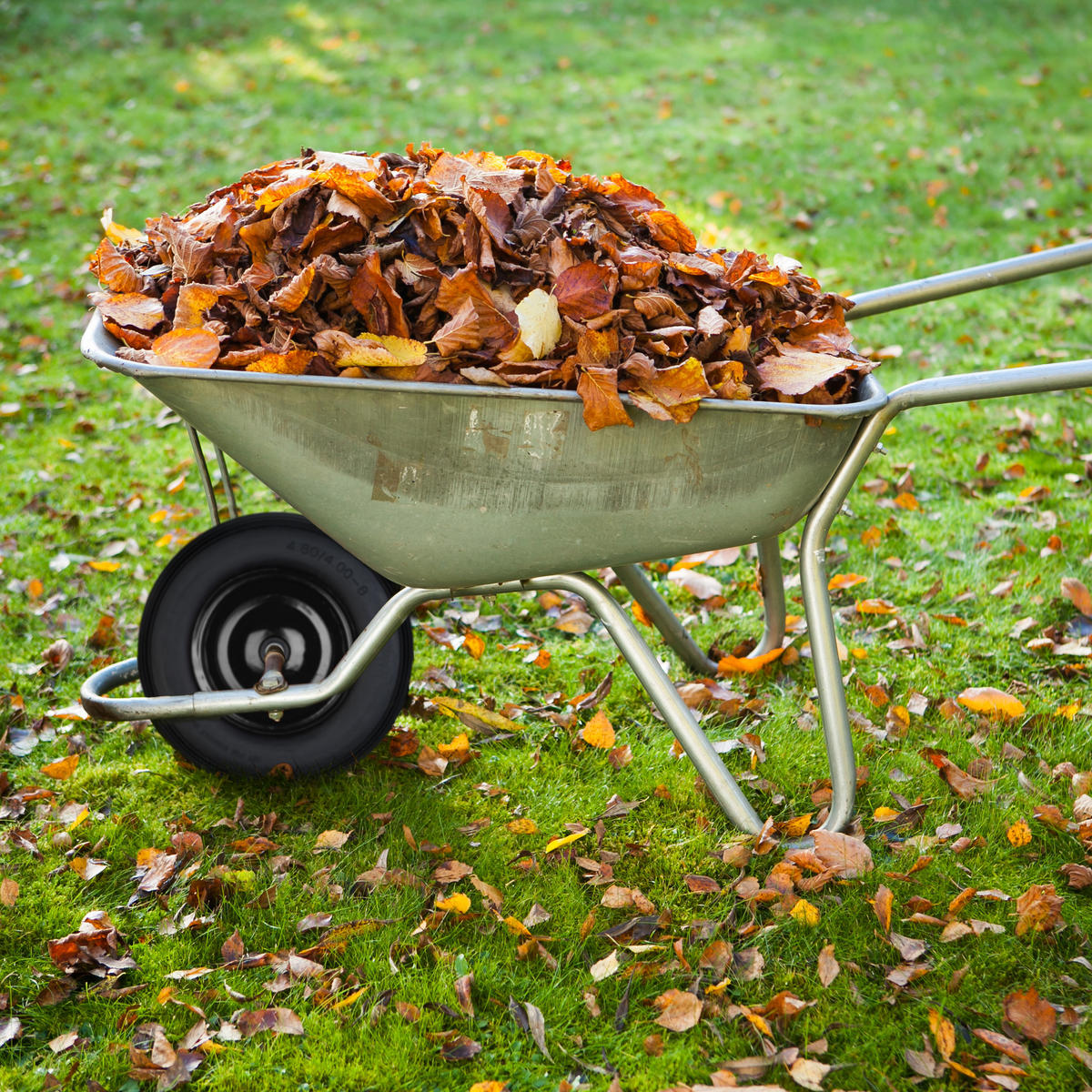 SCHUBKARRENRAD - Schwarz, Kunststoff/Metall (39/39/9cm) - Relaxdays