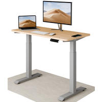 SCHREIBTISCH Elektrisch Höhenverstellbarer HomeOne 120x60cm Grau/Eiche mit Memory-Funktion, Anti-Kollisions Technologie - Eichefarben/Grau, Holzwerkstoff (60/120/72cm) - Desktronic