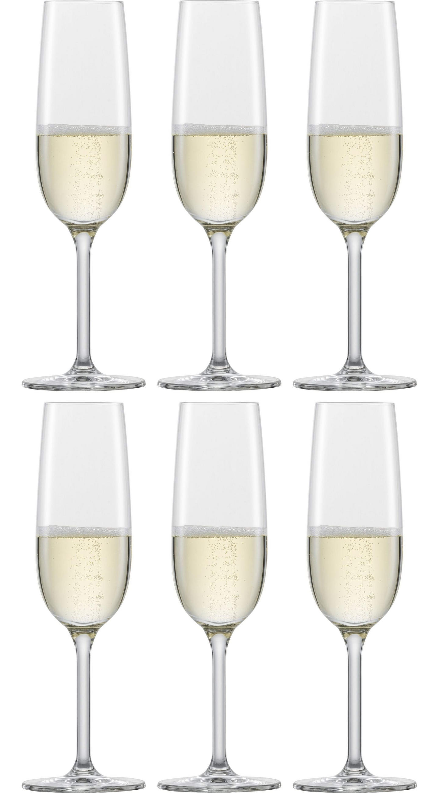 CHAMPAGNERGLAS Champagnergläser Bankett 210 ml - 6 Stück - Transparent, Glas (0.21L) - Schott Zwiesel
