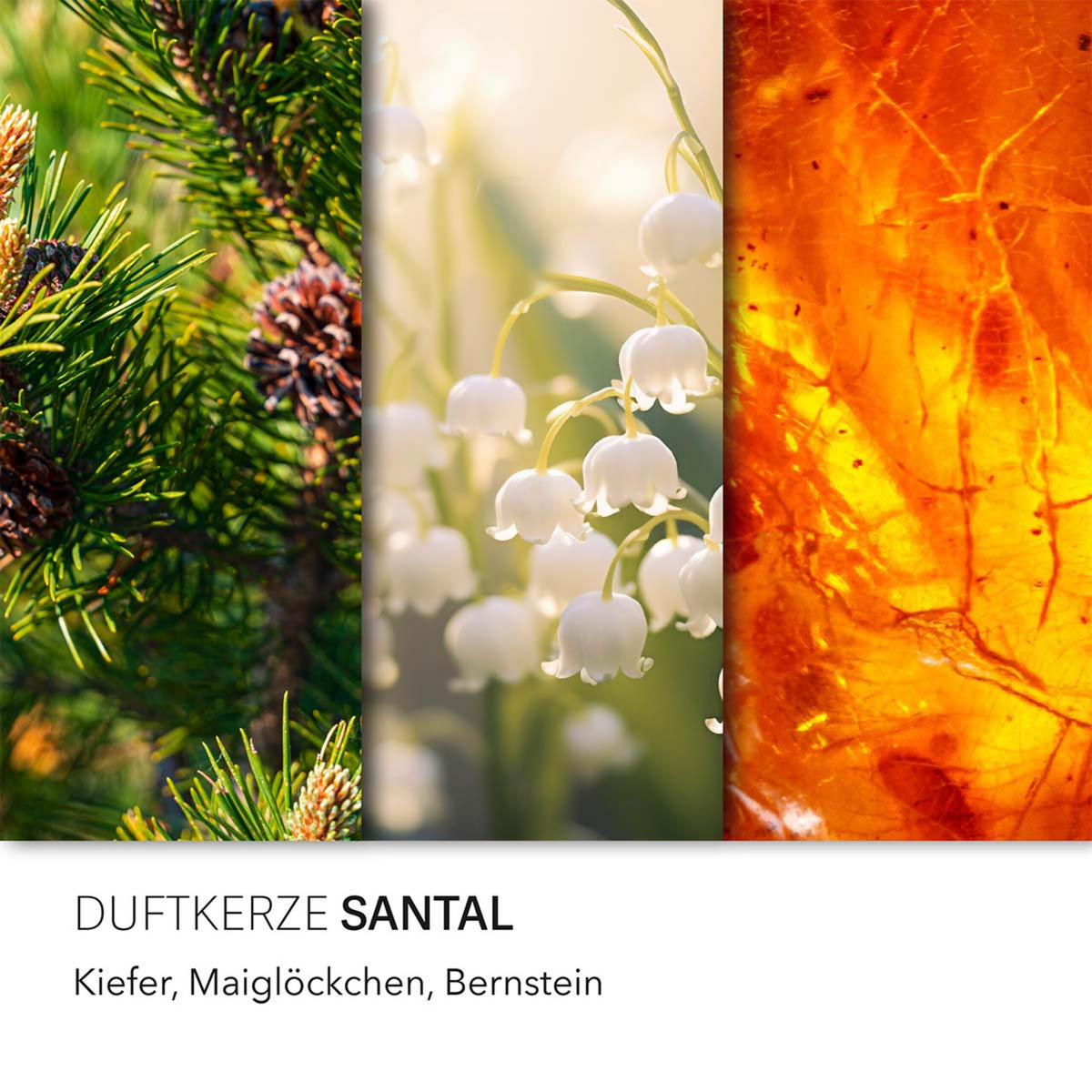 DUFTKERZE CandleBrothers - Weiß, Naturmaterialien/Glas (13cm)