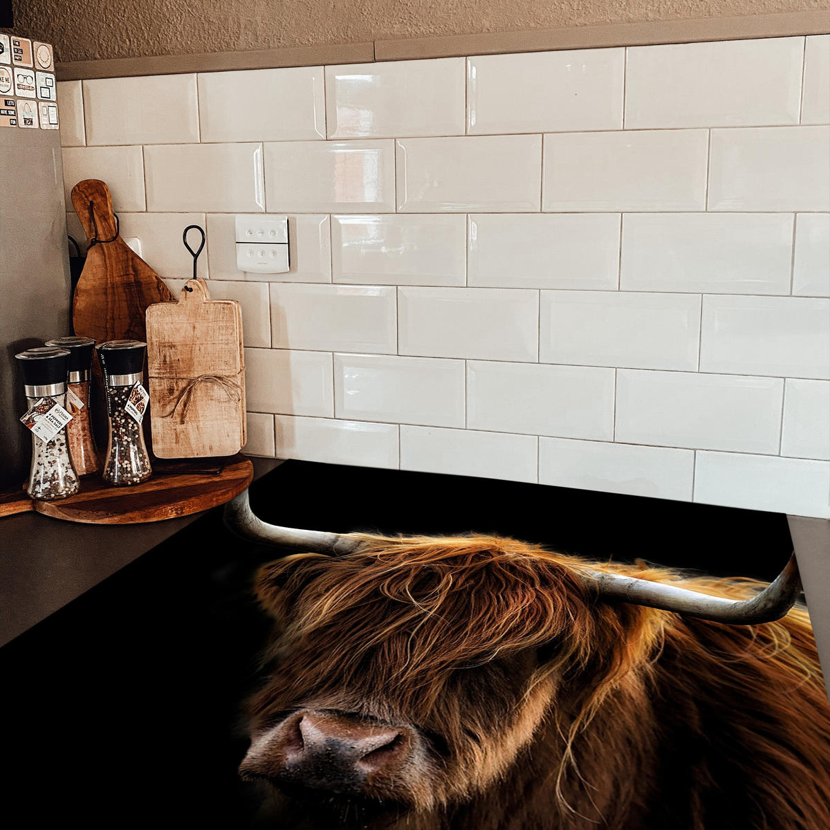 HERDABDECKPLATTE Schottischer Highlander - Hörner - Schwarz - Tiere - Natur - Wild - Kuh 78x78 cm - Cognac, Kunststoff (78/78/0.2cm) - MuchoWow