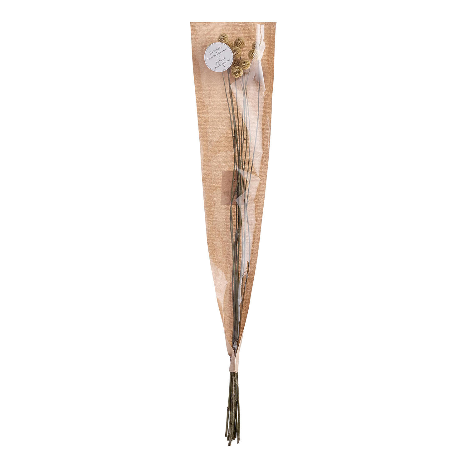 Butlers Trockenblumen Braun 1 cm