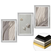 WANDBILDER 3er Set - 40x60 cm Silberner Rahmen - Nahaufnahmen der Struktur im Boho-Stil - Silberfarben, Kunststoff (40/60cm) - ArtPrintCave