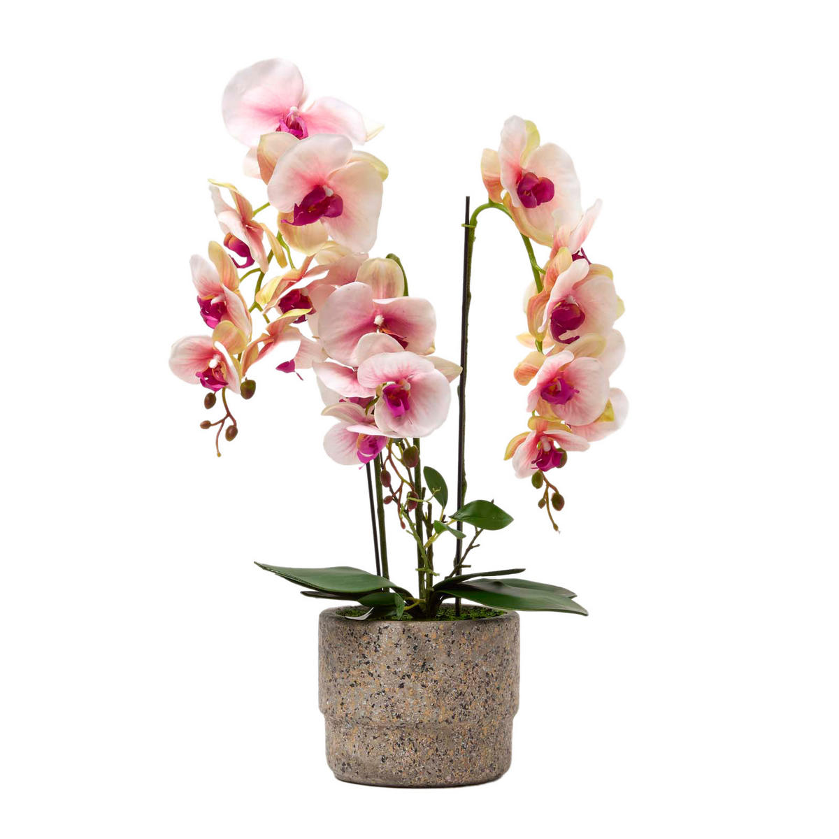 KUNSTBLUME Orchidee pink-weiß im Deko-Topf, 64 cm - Weiß, Kunststoff (64cm) - Homescapes