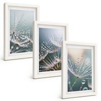 BILDER SET 3er Set - 20x30 cm Weißer Rahmen - Wassertropfen auf Löwenzahnsprossen - Weiß, Kunststoff (20/30cm) - TULUP