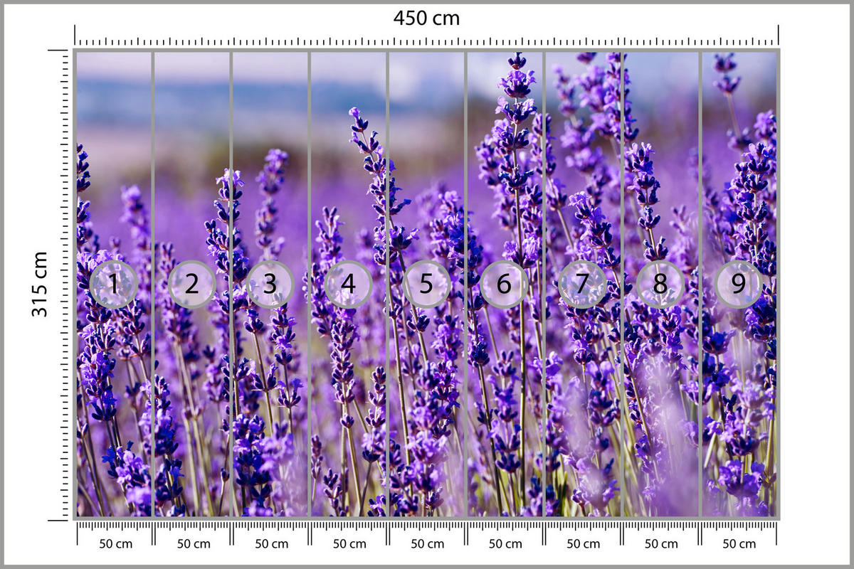 FOTOTAPETE für Schlafzimmer Lavendelfeld Blüten Provence 450x315 - Violett, Papier (450/315cm) - Muralo