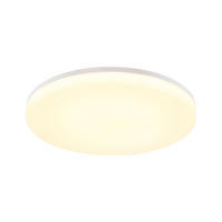 LED-DECKENLEUCHTE Diana 22 cm - Weiß, Kunststoff (22/22/4.8cm) - ZMH