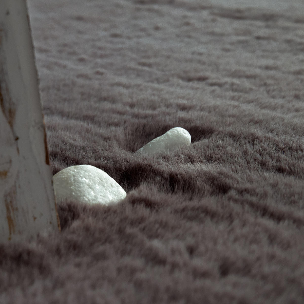 TEPPICH Hochflor Unifarben schmutzabweisend Dunkelgrau Rechteckig 200x290 - Dunkelgrau, Textil (200/290cm) - KADIMA DESIGN