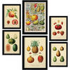 POSTER Set Mit 6 Gesund In Vintage A3 & A4 Weißer Rahmen - Weiß, Papier (29/3cm) - Nacnic