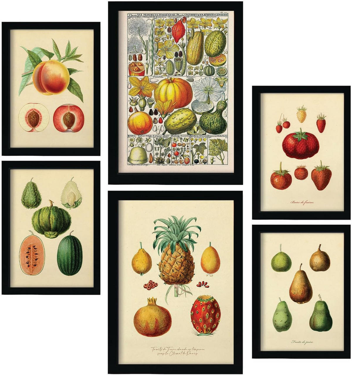 POSTER Set Mit 6 Gesund In Vintage A3 & A4 Weißer Rahmen - Weiß, Papier (29/3cm) - Nacnic