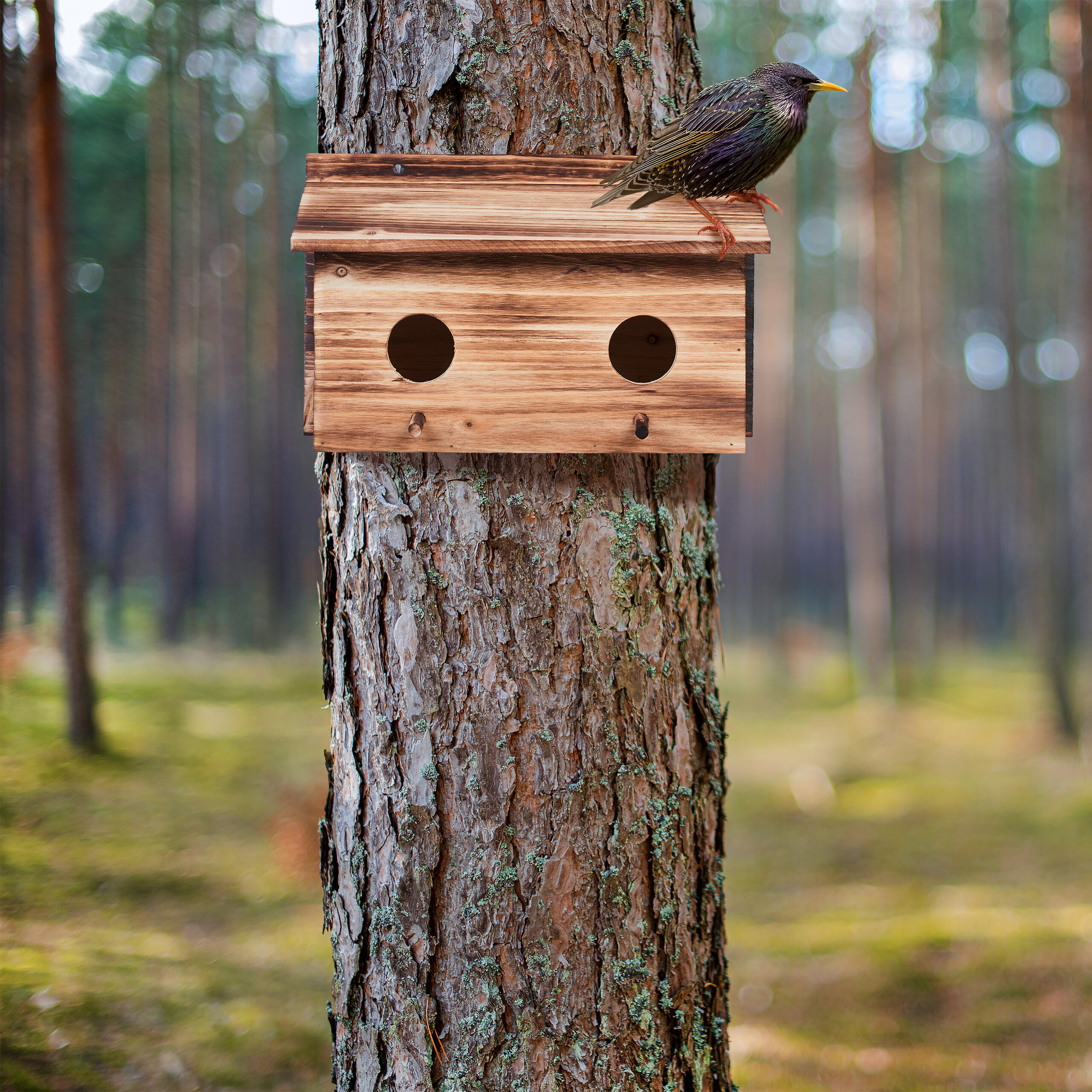 NISTKASTEN - Hellbraun, Holz (35/22/18cm) - Relaxdays