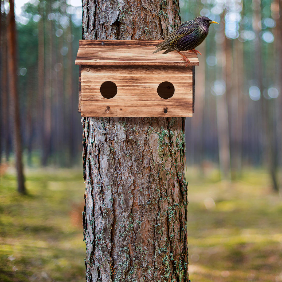 NISTKASTEN - Hellbraun, Holz (35/22/18cm) - Relaxdays