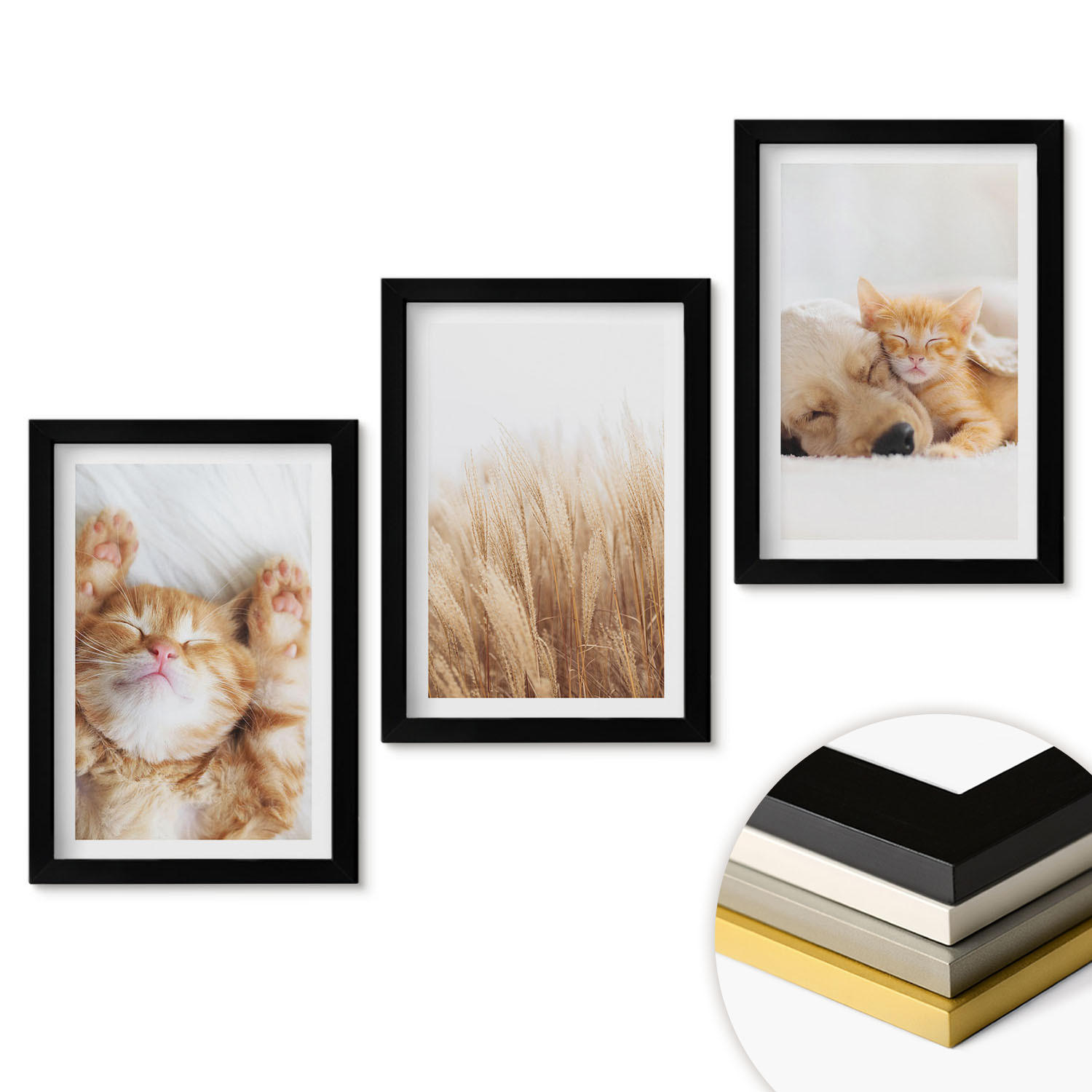 ArtPrintCave Wandbilder Schwarz 20x30 cm