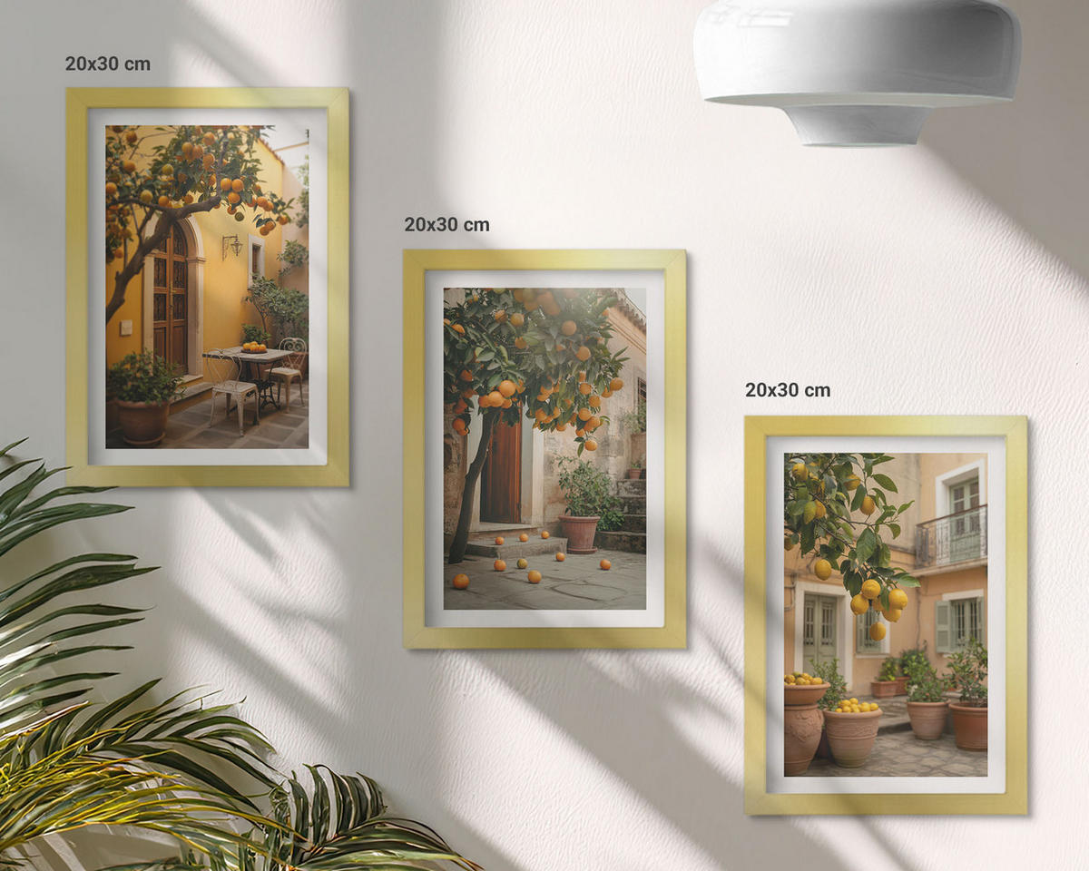 WANDBILDER 3er Set - 20x30 cm Goldrahmen - Garten-Zitrus-Sonne - Goldfarben, Kunststoff (20/30cm) - ArtPrintCave