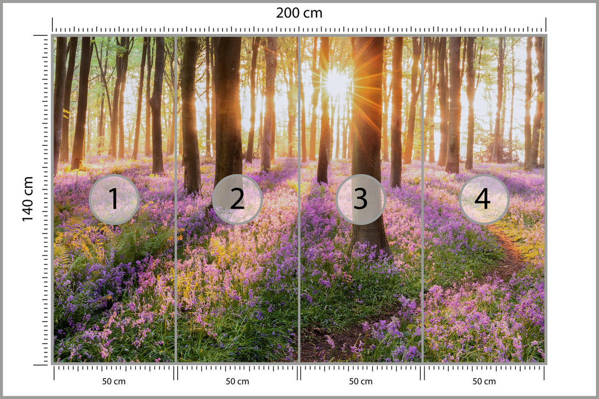 FOTOTAPETA Les Kvety Východ Slnka Krajina 3D 200 x 140 cm - oranžová/hnedá, papier (200/140cm) - Muralo