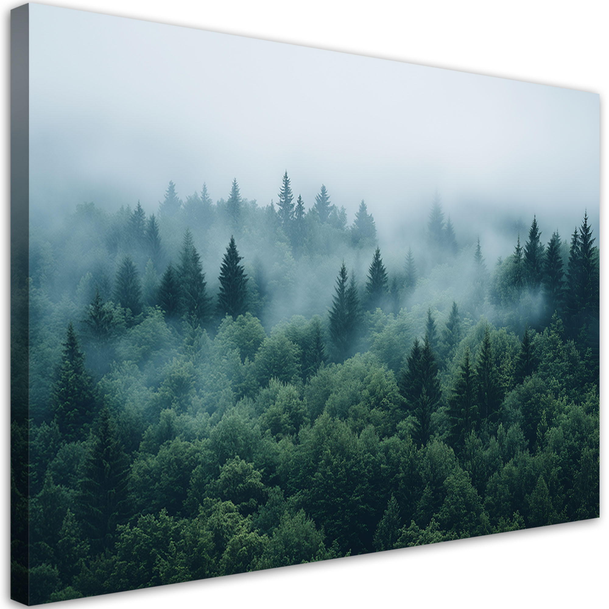 WANDBILD grüner wald im nebel naturlandschaft - Grün, Textil (60/40cm) - Feeby