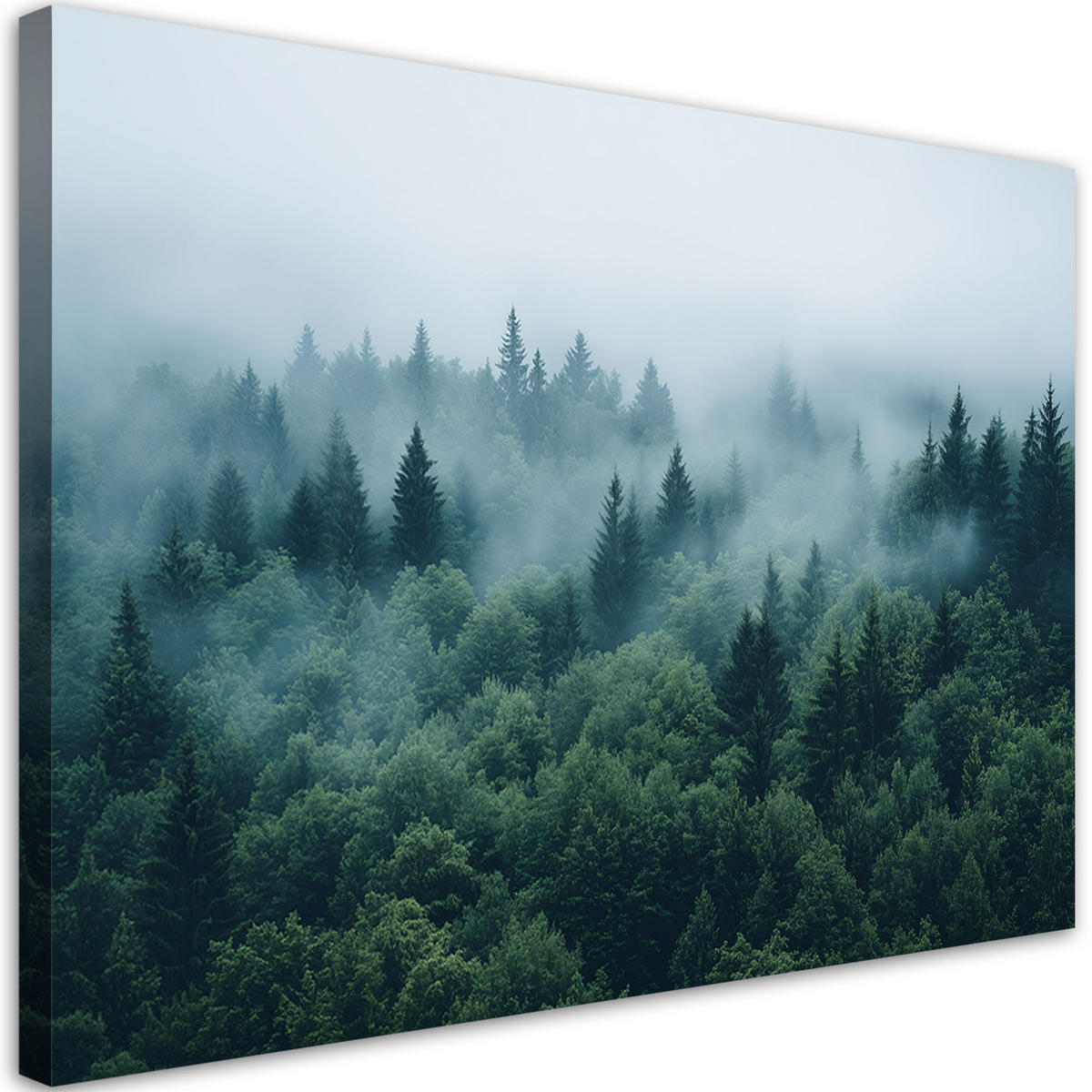 WANDBILD grüner wald im nebel naturlandschaft - Grün, Textil (60/40cm) - Feeby