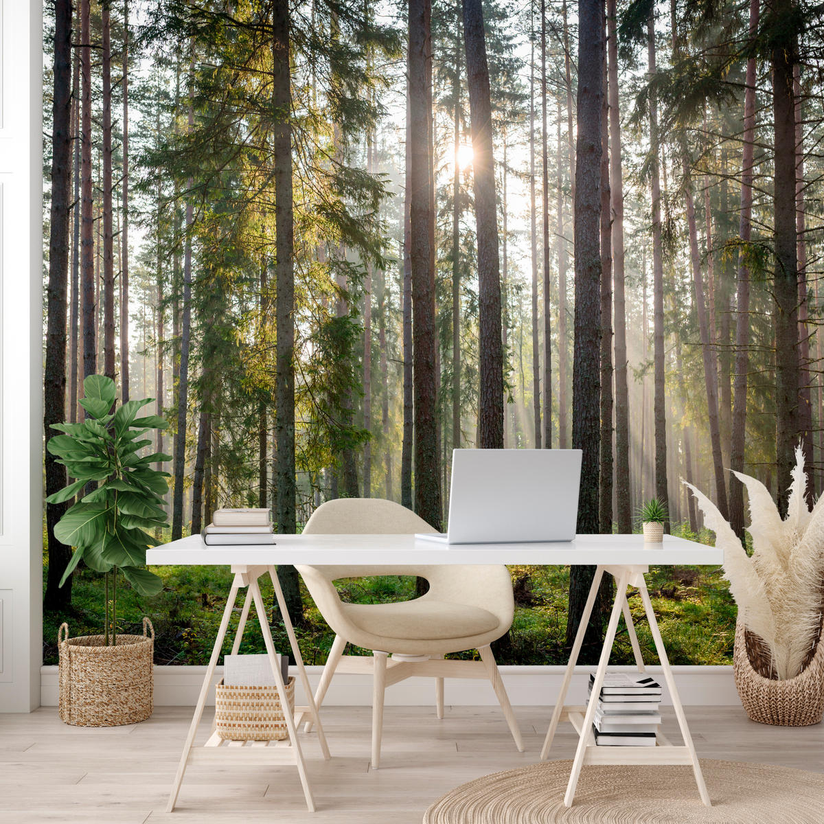 FOTOTAPETA Pre Obývaciu Izbu LES Východ Slnka Mach Stromy Zelená 150 x 105 cm - hnedá/sivá, papier (150/105cm) - Muralo