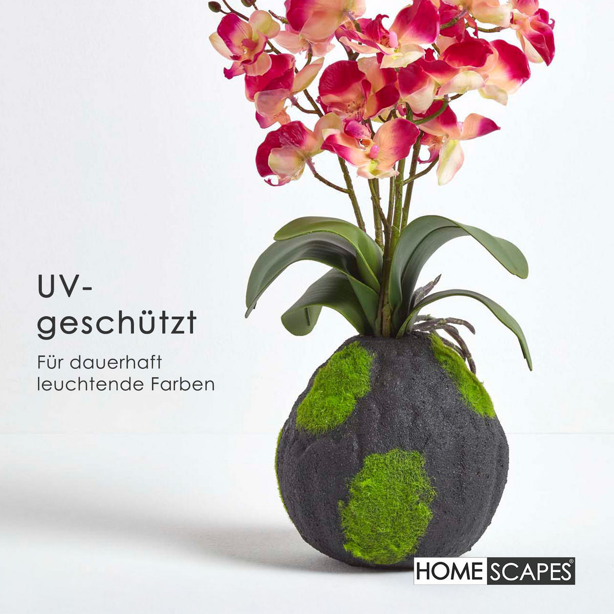 KUNSTBLUME Orchidee pink-apricot mit Moos-Sockel, 60 cm - Pink, Kunststoff (60cm) - Homescapes