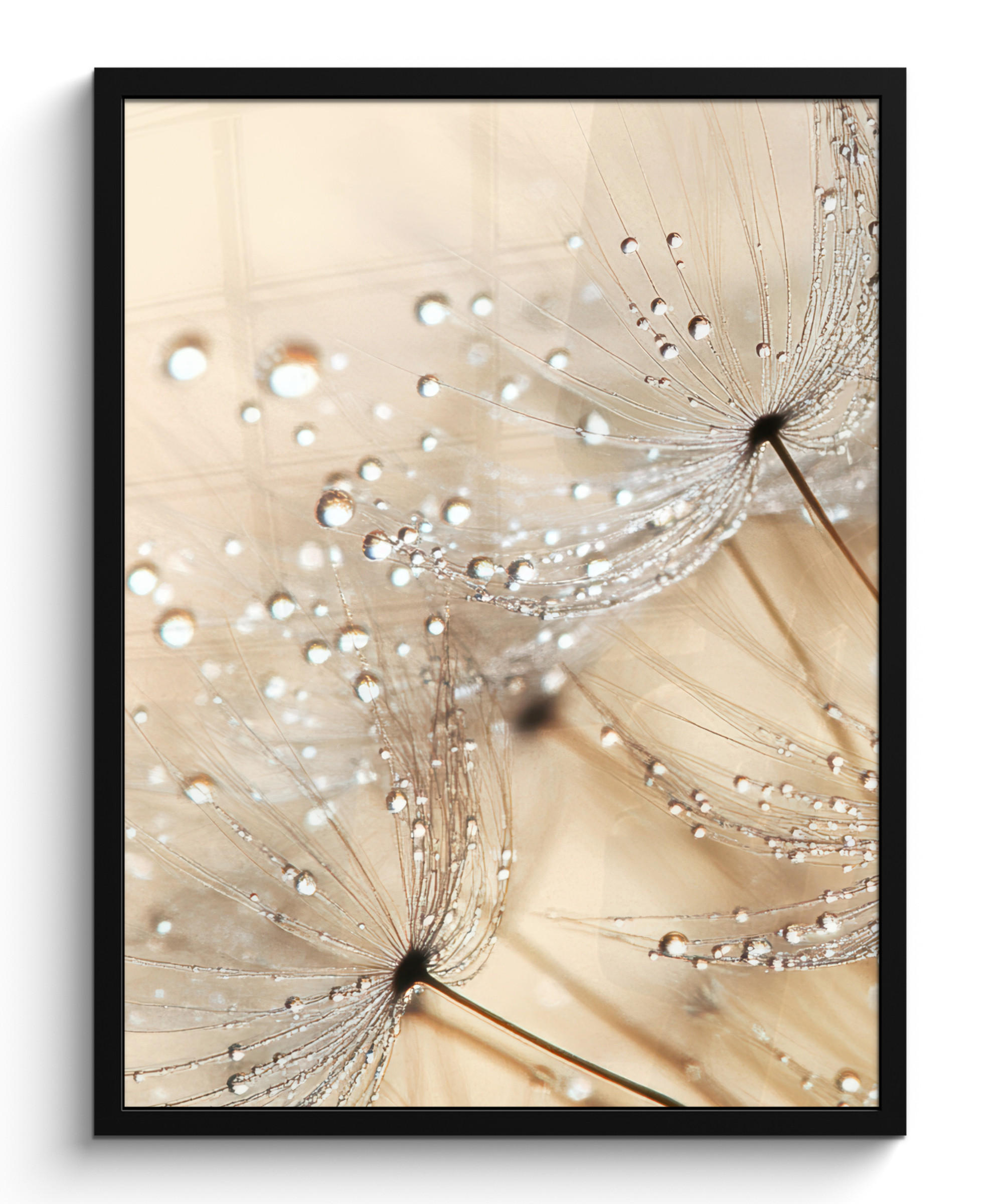 GERAHMTES BILD Löwenzahn - Abstrakt - Natur - Beige 60x80 cm - Braun, Papier (60/80cm) - MuchoWow