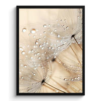 GERAHMTES BILD Löwenzahn - Abstrakt - Natur - Beige 60x80 cm - Braun, Papier (60/80cm) - MuchoWow