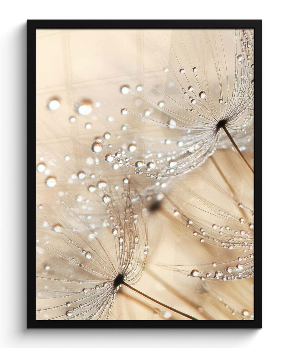 GERAHMTES BILD Löwenzahn - Abstrakt - Natur - Beige 60x80 cm - Braun, Papier (60/80cm) - MuchoWow