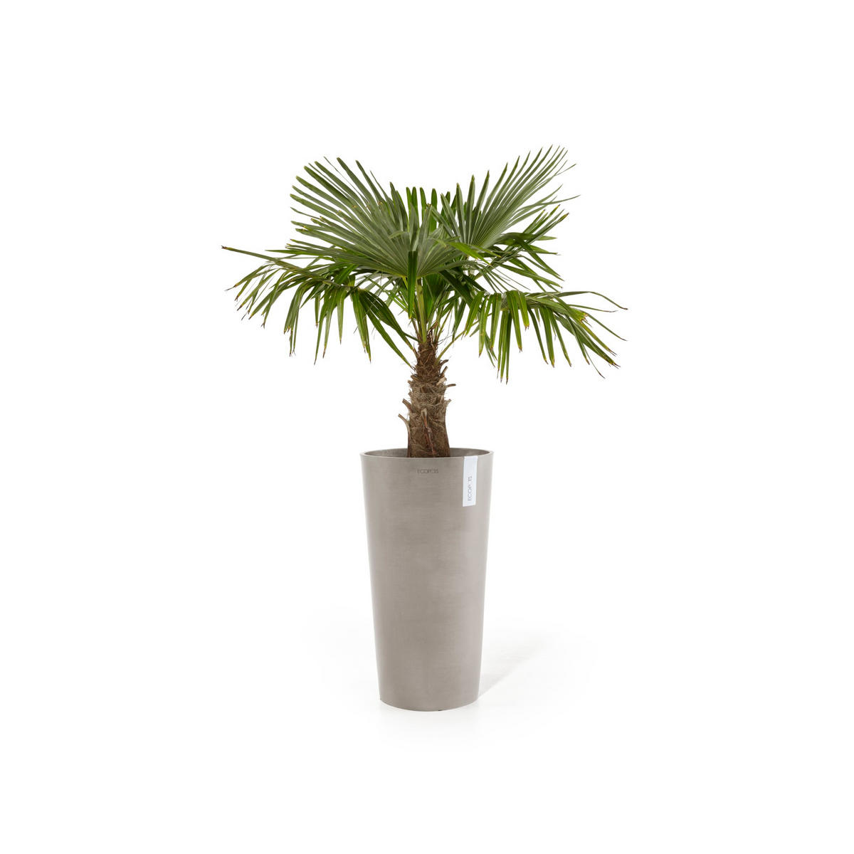 BLUMENTOPF Amsterdam Mid High 34/66 cm Taupe - Taupe, Kunststoff (34/66cm) - Ecopots