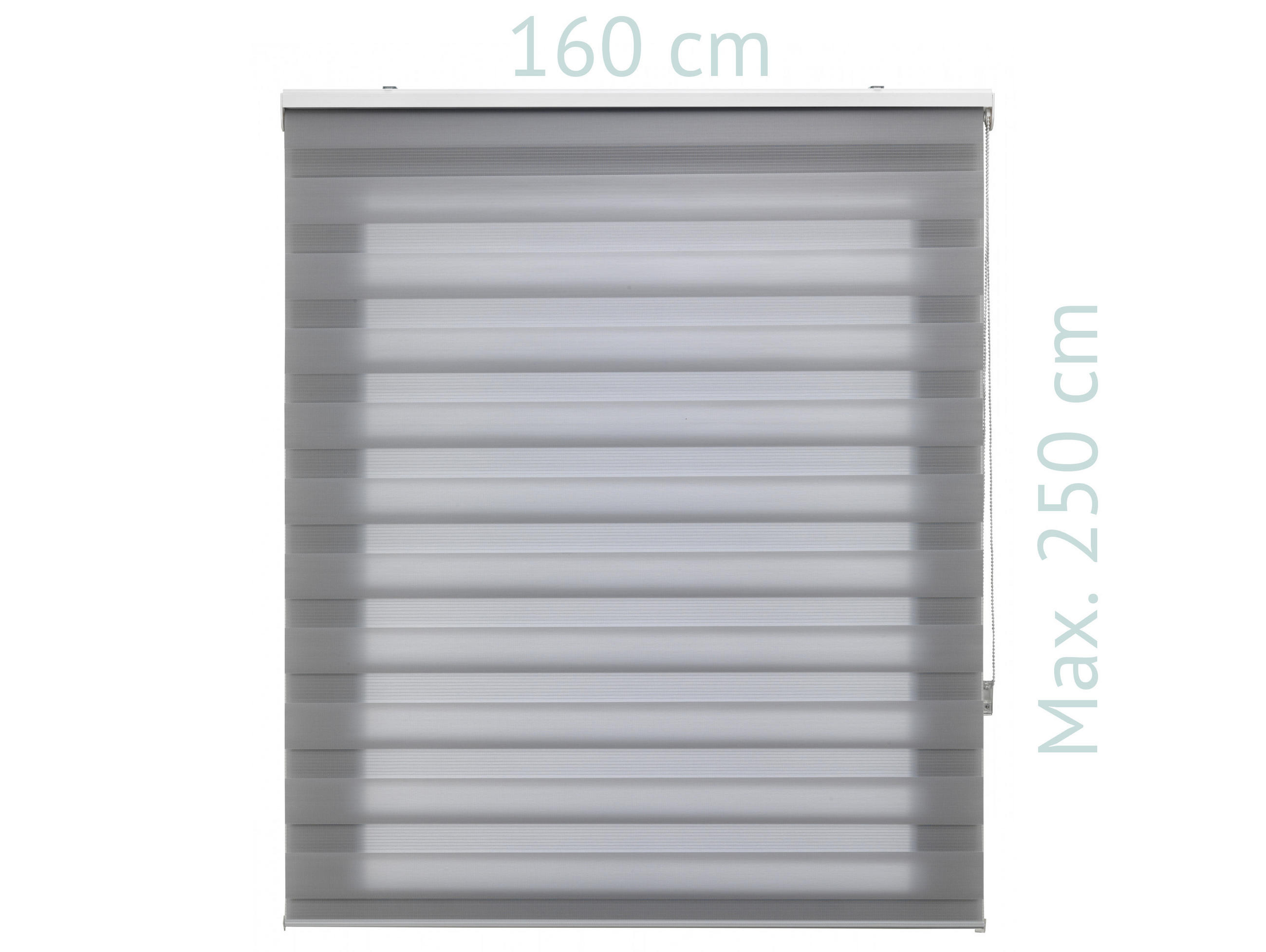 ROLLO Polyester Transluzent Grau 160x250 - Grau, Textil (160/250/1cm) - Purline