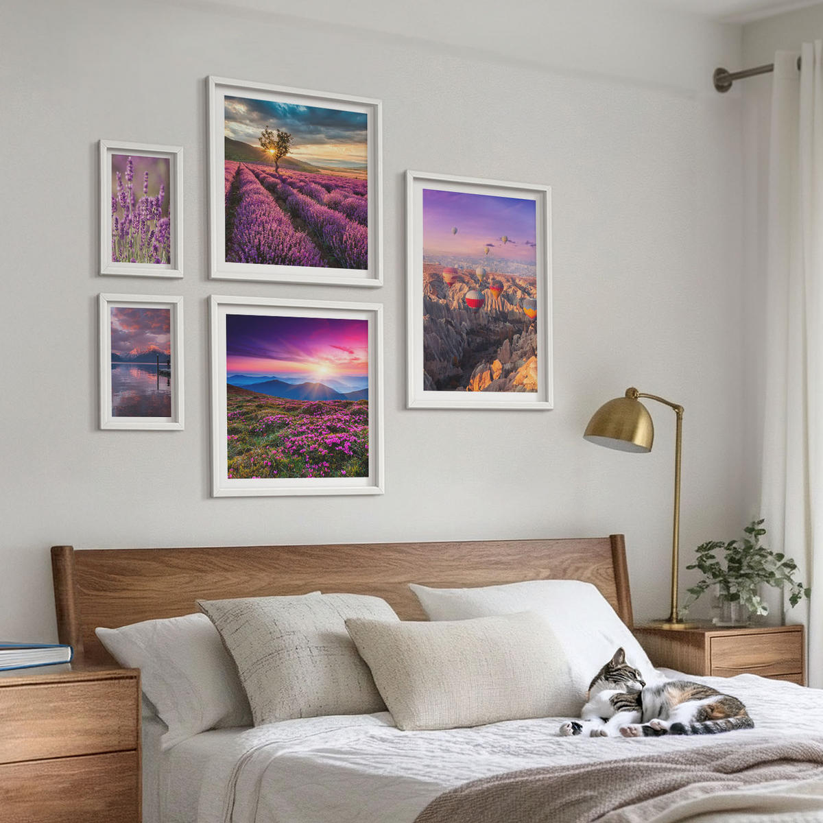 BILDER SET 5er Set - 50x50 cm & 20x30 cm & 40x60 cm Weißer Rahmen - Sonnenuntergang auf Lavendelfeldern - Weiß, Kunststoff (40/60cm) - TULUP