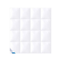 WINTERBETTDECKE KLASSIK Entendaunen extra warm - Weiß, Naturmaterialien/Textil (200/200cm) - Böhmerwald