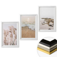 WANDBILDER 3er-Set - 40x60 cm Weißer Rahmen - Strandgras, Wellen, Steine, Boho-Stil - Weiß, Kunststoff (40/60cm) - ArtPrintCave