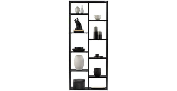 REGAL Schwarz - Schwarz, Trend, Kunststoff/Metall (80/188/30cm) - Carryhome
