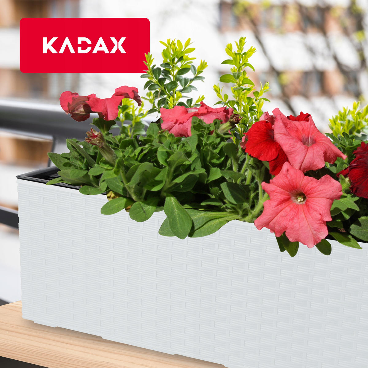 BLUMENKASTEN mit Einsatz 56 cm, Weiß - Weiß, Kunststoff - KADAX