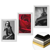 WANDBILDER 3er-Set - 40x60 cm Weißer Rahmen - Pariserin mit Eiffelturmbrille - Weiß, Kunststoff (40/60cm) - ArtPrintCave