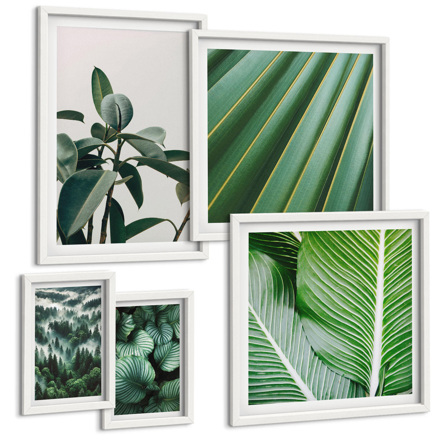 BILDER SET 5er Set - 50x50 cm & 20x30 cm & 40x60 cm Weißer Rahmen - Tropische Blätter in Grün - Weiß, Kunststoff (40/60cm) - TULUP