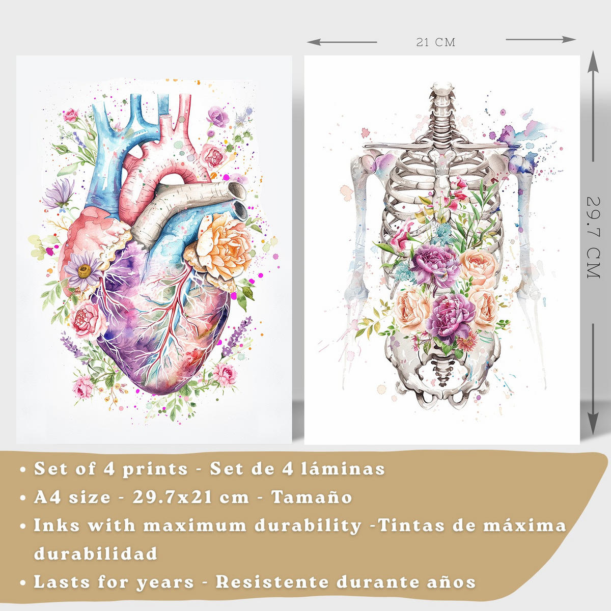 POSTER Set aus 4 Anatomie Mensch Drucke und mit Herz Gehirn Lungen Luftröhre Bronchien Wirbelsäule Florales Aquarell Design Größe Weißer Rahmen A4 - Weiß, Papier (21/29.7/3cm) - Nacnic