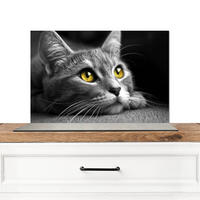 SPRITZSCHUTZ KÜCHE Katze - Grau - Tiere - Katze 70x50 cm - Grau, Metall (70/0.3/50cm) - MuchoWow