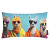 DEKOKISSEN Crazy Lama - Hellblau, Textil (50/30/8cm) - Magma Heimtexx