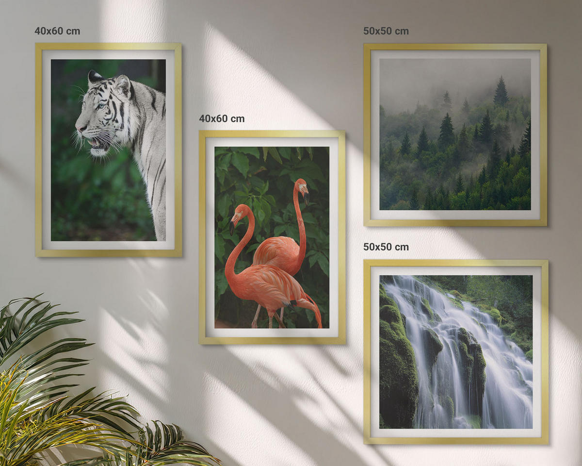BILDER SET 4er Set - 50x50 cm & 40x60 cm Goldrahmen - Tiger Wasserfall Flamingos Natur - Goldfarben, Kunststoff (50/50cm) - TULUP