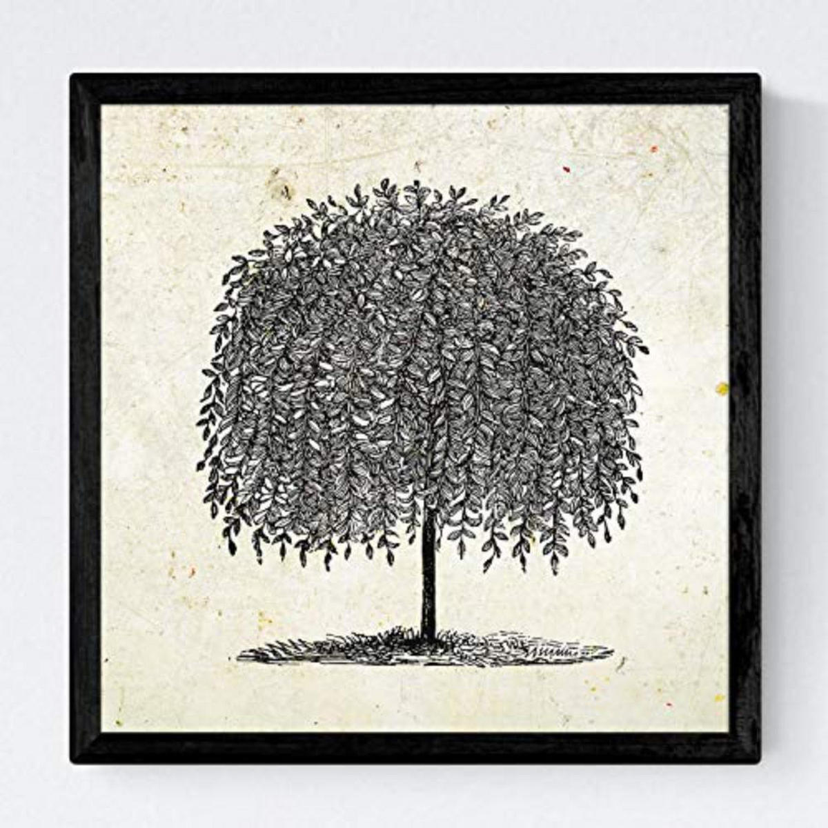 POSTER Set mit 4 Blättern der Bäume Weiden Jahrgang Hintergrund 20x20cm Rahmenlos - Klar, Papier (20/3cm) - Nacnic