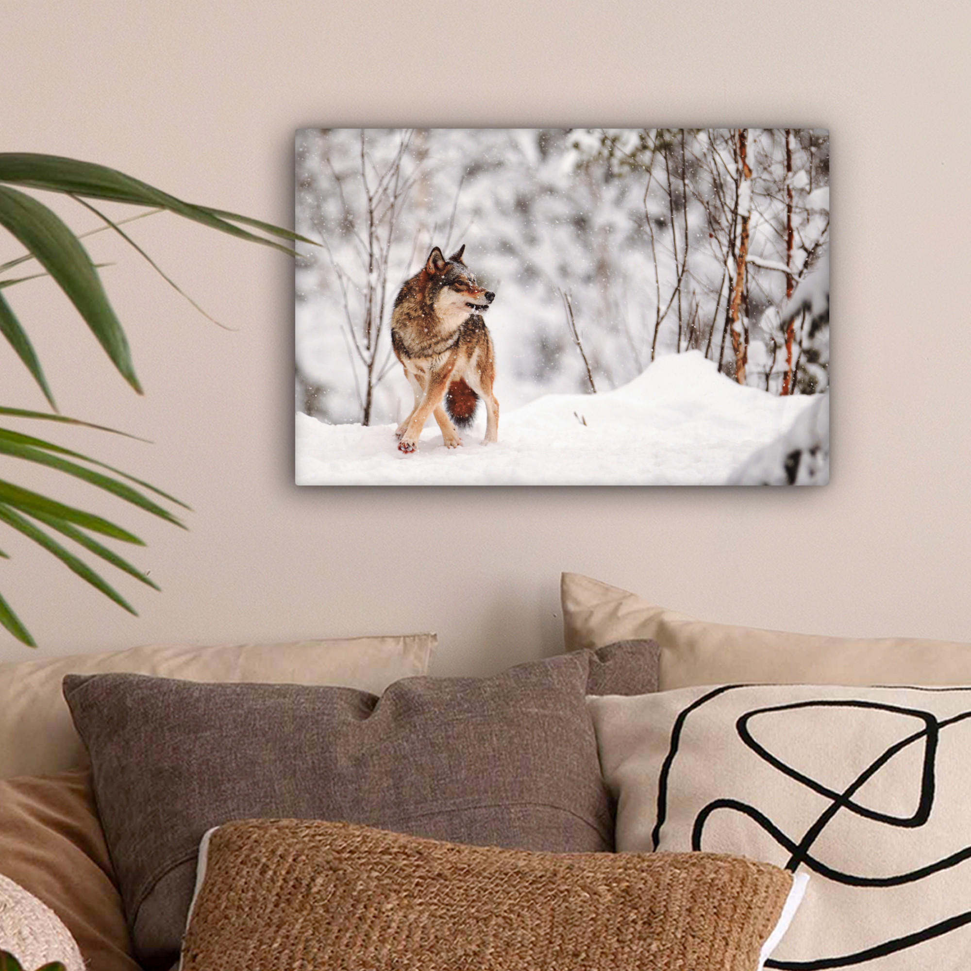 LEINWANDBILD Wolf - Winter - Schnee - Natur - Tiere 30x20 cm - Haselnussfarben, Textil (30/20cm) - MuchoWow