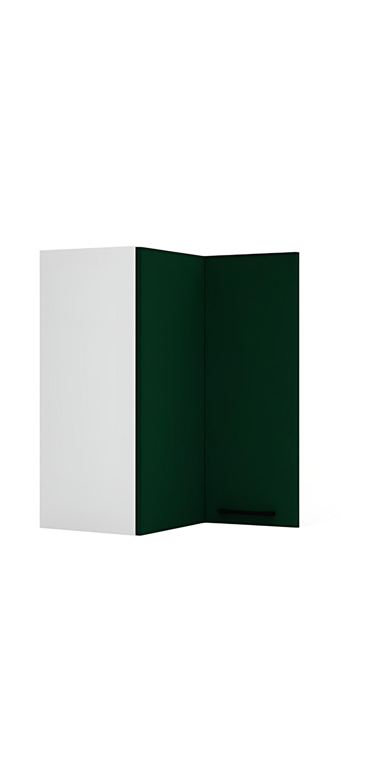 ECKHÄNGESCHRANK WRN P/L - Morvex - Platzsparende Lösung mit Stil - Dunkelgrün, Holz/Metall (60/72/60cm) - ROYAL24_MARKT