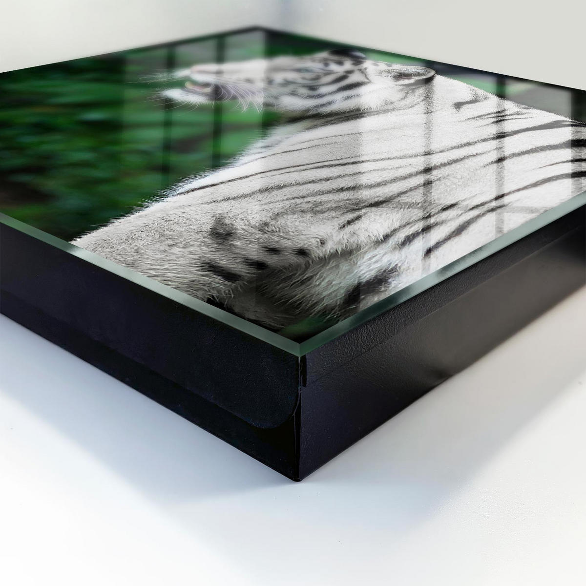 SCHLÜSSELBOX Schwarz 30x30 cm- Türöffnung nach rechts - Weißer Tiger - Weiß, Metall (30/30/5cm) - TULUP