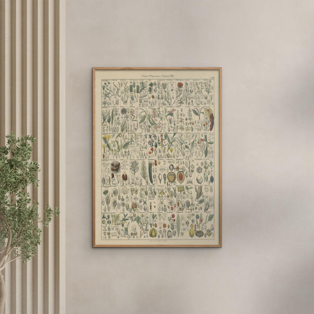 POSTER Wild Apple - Flora Chart II - Grün, Papier (50/70/0.1cm) - Poster&Frame