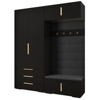 GARDEROBEN-SET 236,7/200/47 - Goldfarben/Schwarz, Holz/Metall (200/236.7/47cm) - Abiks Möbel