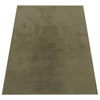 HOCHFLORTEPPICH 60/90 cm Soft 380 - Grün, Textil (60/90cm) - Paco Home