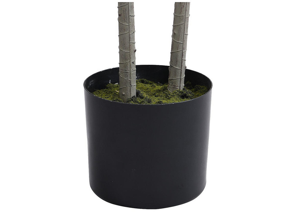 KUNSTPFLANZE - 50 cmcm x 40 cmcm - Plastik - Grün - LYA - Grün, Kunststoff (150cm) - Vente-Unique