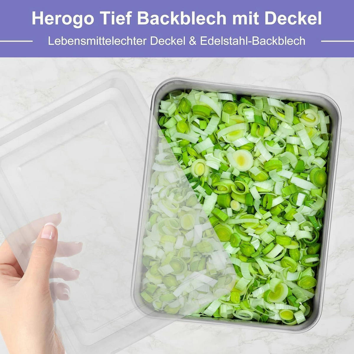 BACKBLECH mit Deckel 23,8 x 18 x 5 cm Edelstahl - Silberfarben, Metall (23.8/5/5cm)