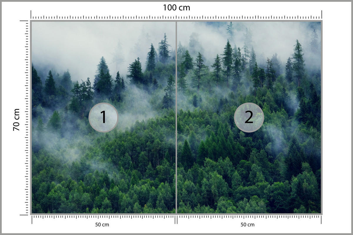 FOTOTAPETE Wald im Nebel Natur Landschaft 3D 100x70 - Grau/Grün, Papier (100/70cm) - Muralo